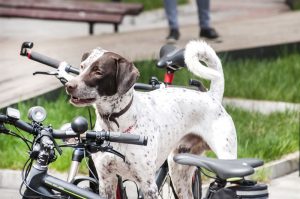 ab8ca409f580bc55_800x800ar